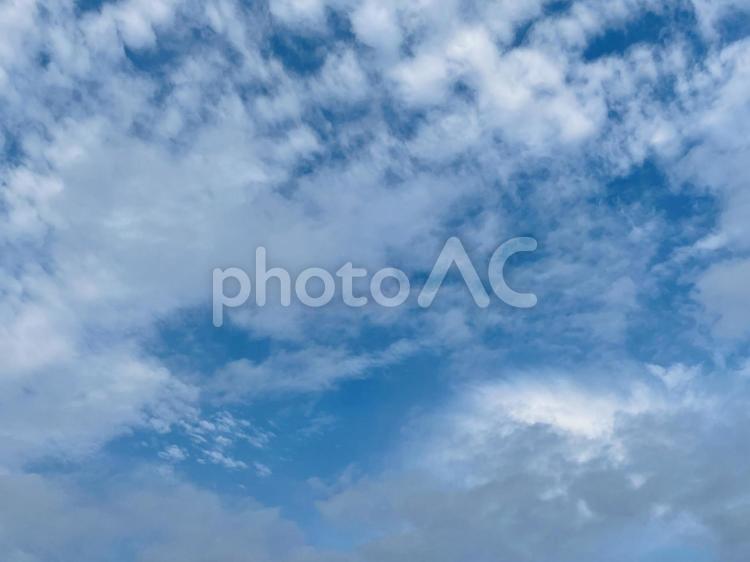 青空　雲　　美しい　爽やか 青空,雲,鱗雲の写真素材