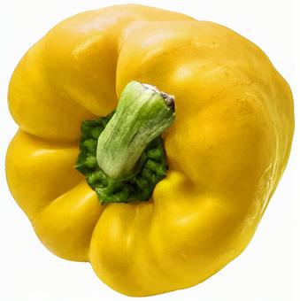 パプリカ黄色 切り抜き パプリカ黄色 切り抜き パプリカ,黄色,切り抜きの写真素材