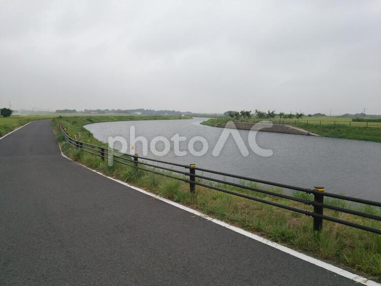 下り坂の天気で増水気味な作田川 川,作田川,増水の写真素材