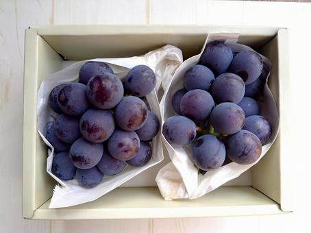 Photo, summer, fruit, whole, 
