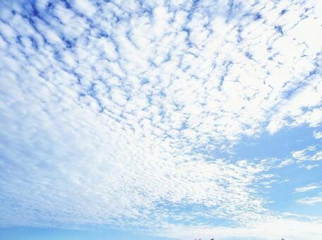 空と雲 空と雲の写真