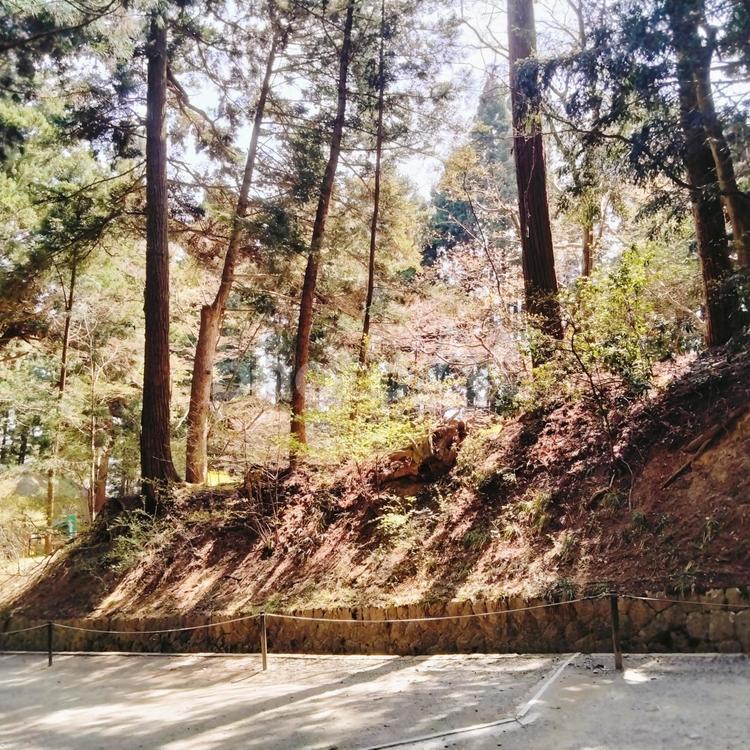 中尊寺の風景 2025 中尊寺,岩手県,平泉の写真素材