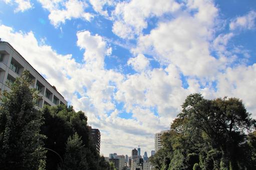 荒川線周辺 荒川線周辺の写真