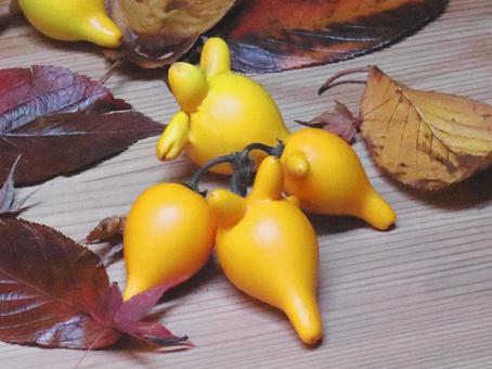 フォックスフェイス　秋のアレンジ フォックスフェイス,植物,実の写真素材