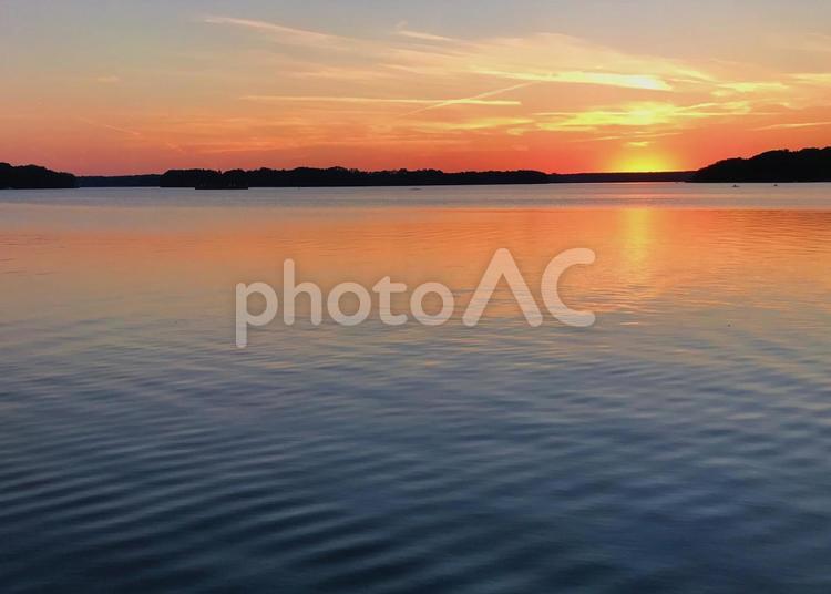 夏の夕暮れ　湖畔 夕暮れ,夕陽,湖の写真素材