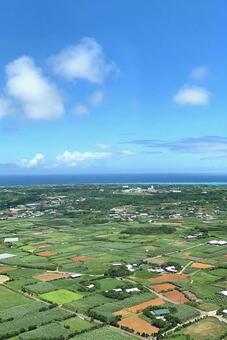 上から見た与論島 海岸,透明度,透明の写真素材