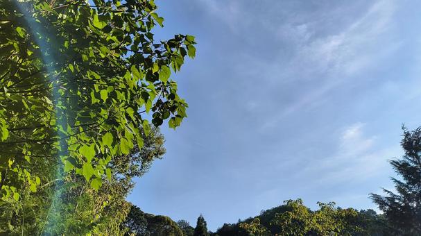 夏の風 夏の風 日差し,青空,夏の写真素材