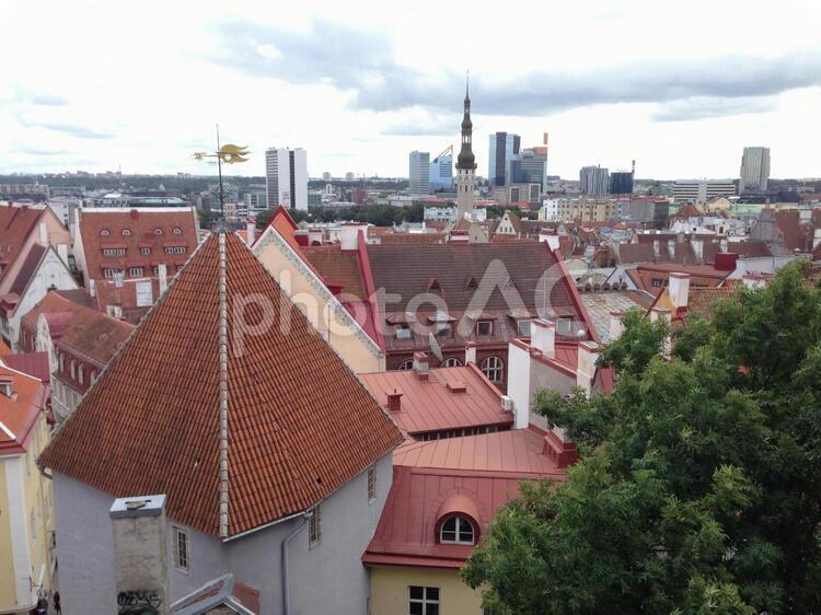 エストニア・タリンの街並み エストニア,タリン,国旗の写真素材