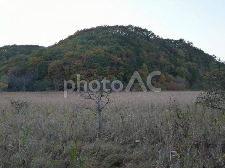 夕暮れの草原 釧路湿原,釧路,湿原の写真素材