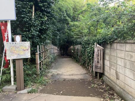 佐倉／ひよどり坂の入り口（看板） ひよどり坂,佐倉,看板の写真素材