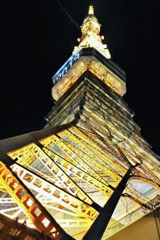 東京タワー 2019年年始 東京タワー 2019年年始の写真