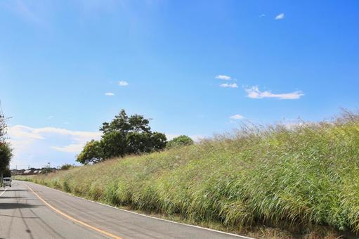 蒼い空と白い雲の写真