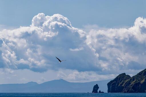 イタンキ浜 イタンキ浜,海,海岸の写真素材