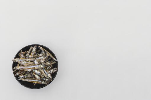 田作り（ごまめ）と白背景 田作り,ごまめ,煮干しの写真素材