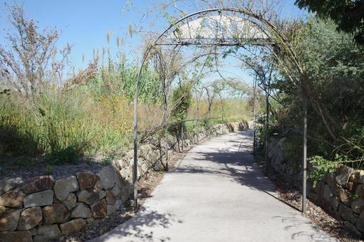 散歩道 秋の 自然 トンネル 自然,花,散策の写真素材