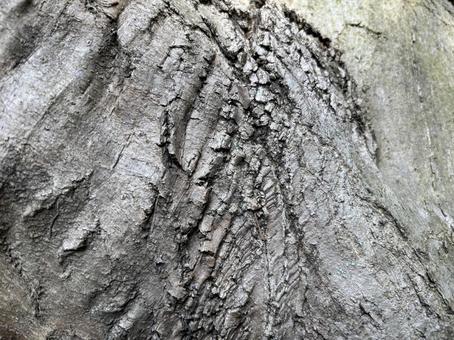 木の模様 木の模様,背景,庭の写真素材