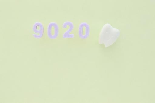 9020とミニチュアの歯 9020運動,9020,90歳の写真素材