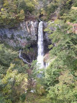 滝 滝の写真