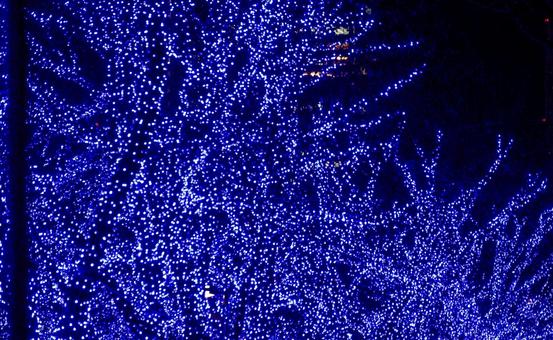 青の洞窟のイルミネーション イルミネーション,青,青の洞窟の写真素材
