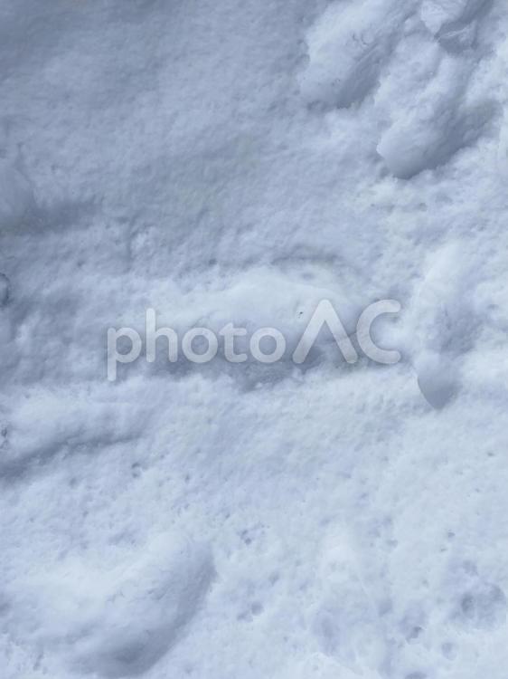 雪の塊の写真 冬,雪,氷の写真素材