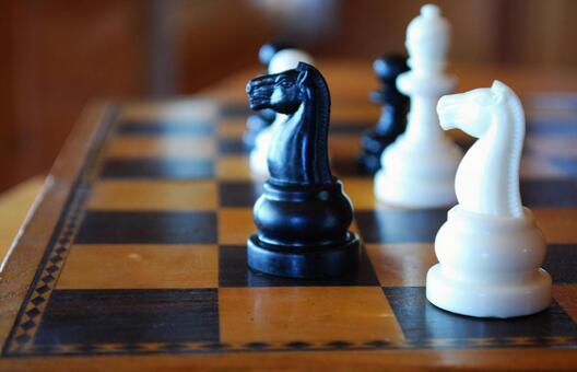 左向きの白と黒のナイトのチェスピース チェス,ゲーム,ナイトの写真素材