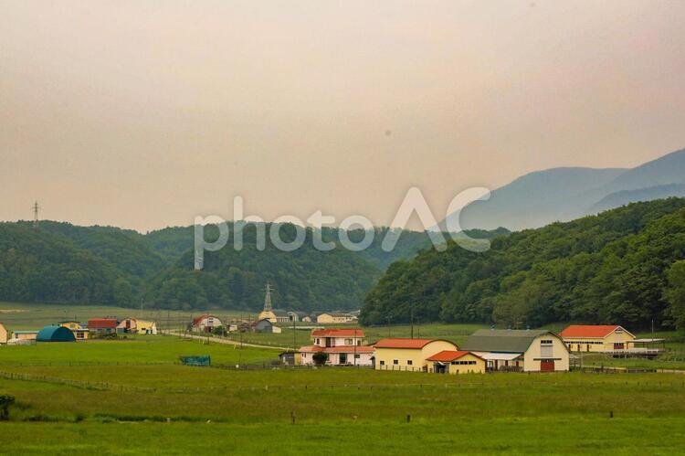 夕暮れ牧場 牧場,日高,風景の写真素材