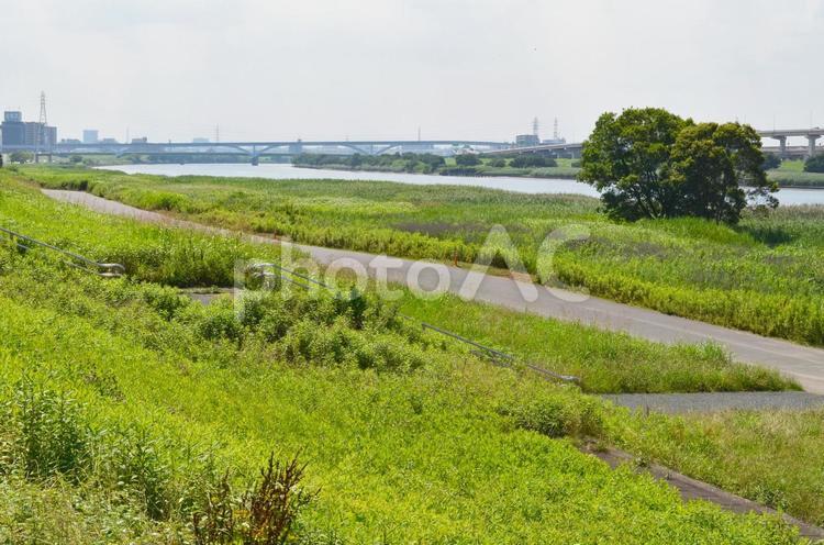 荒川土手と河川敷の自然　足立区西新井橋から上流方面の景色 荒川,土手,河川敷の写真素材