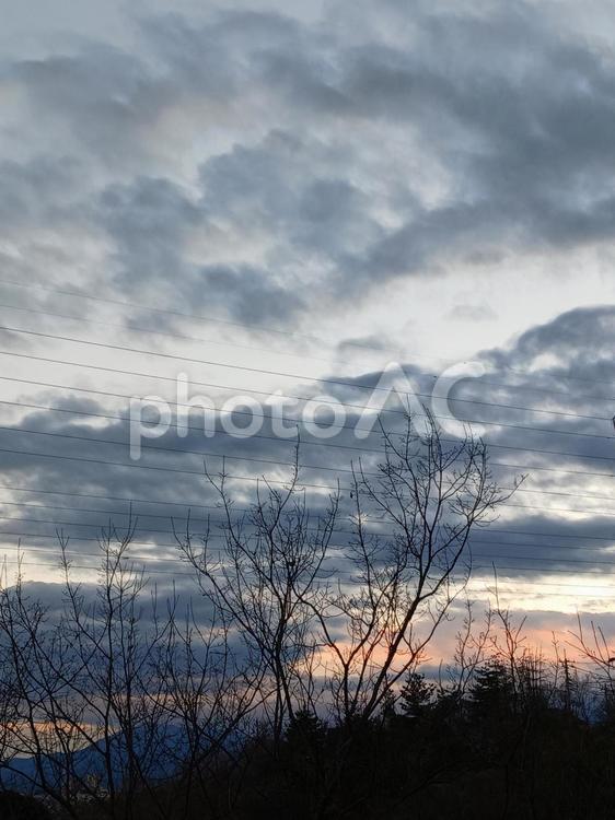 幻想的な夕焼けとシルエットの木々 夕焼け,空,雲の写真素材