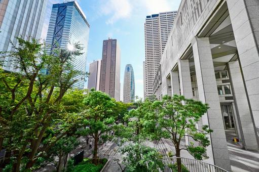 都会のビルと緑の木々　新宿　東京 高層ビル,緑,都会の写真素材
