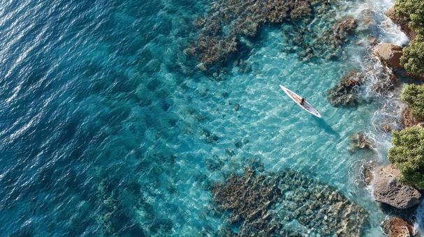 透明な海でパドル体験 透明な海でパドル体験の写真