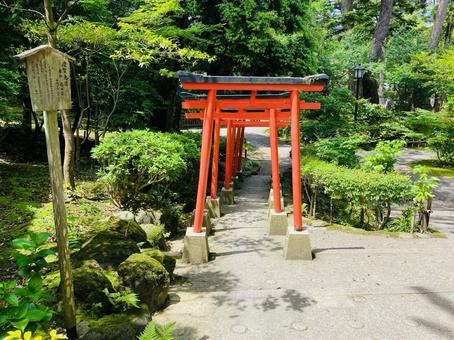金澤神社 慶賀鳥居 金澤神社 慶賀鳥居の写真
