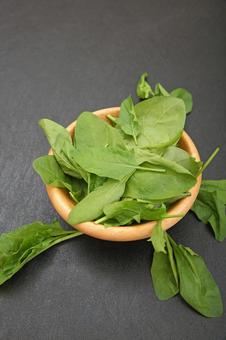 サラダほうれん草 サラダほうれん草,ほうれん草,野菜の写真素材