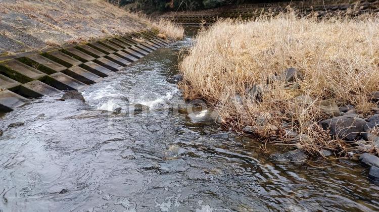 川(栃木県の龍門の滝での景色) 川,自然,水の写真素材