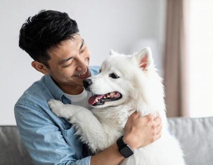ペットと戯れて幸せそうに笑う若い男性 ペットと戯れて幸せそうに笑う若い男性の写真