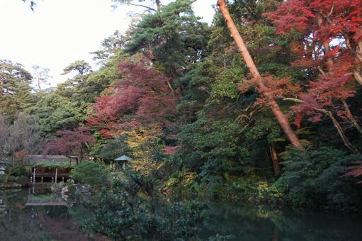 兼六園の秋の写真