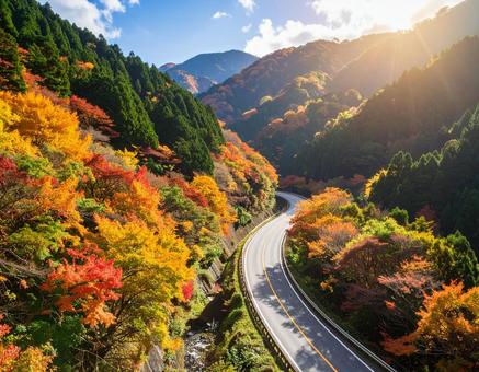 紅葉に染まる山の風景 紅葉に染まる山の風景の写真
