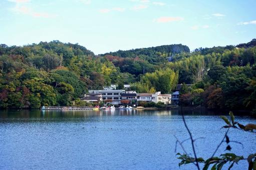 湖面を渡る初秋の風　碧い一碧湖 湖面,初秋,さざ波の写真素材