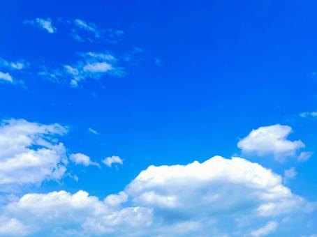 夏の青空② 夏の青空②の写真
