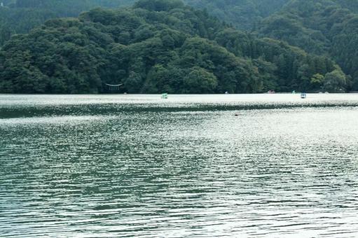 緑が映える湖面の写真