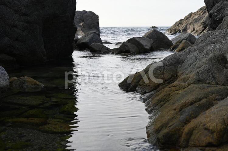 夏の青森の海岸 海岸,水平線,青織の写真素材