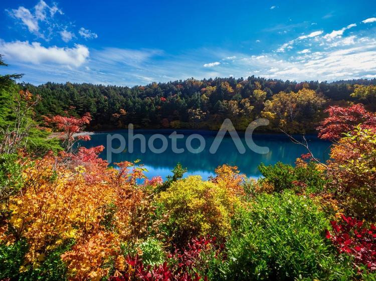 秋の浄土平（桶沼） 秋,紅葉,山の写真素材