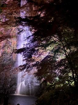 箕面大滝 もみじ,秋,赤色の写真素材