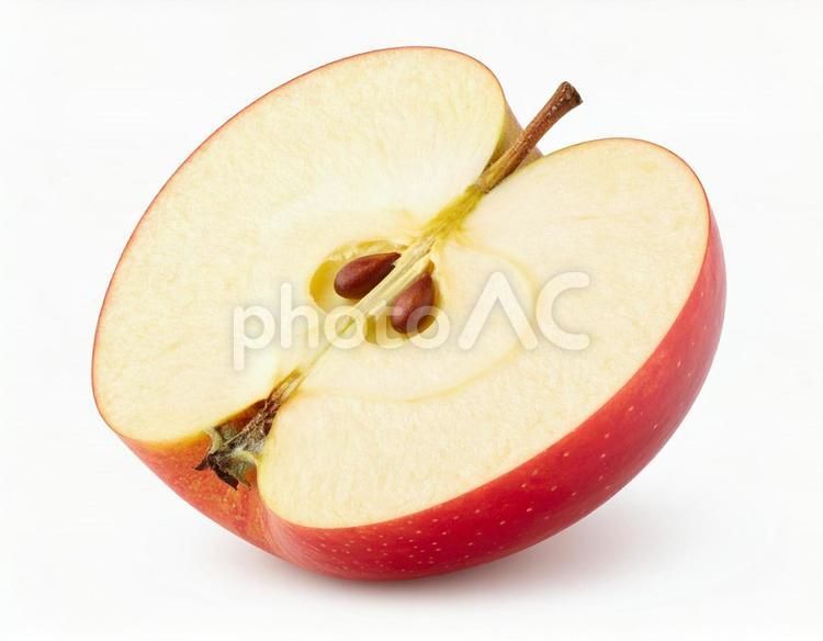 秋の味覚　りんご　断面　白背景 りんご,リンゴ,appleの写真素材