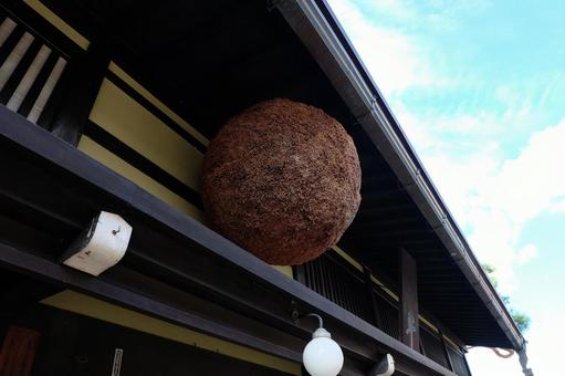 造り酒屋の屋根・軒先に掛けた杉玉（酒林 杉玉,酒林,飛騨高山の写真素材