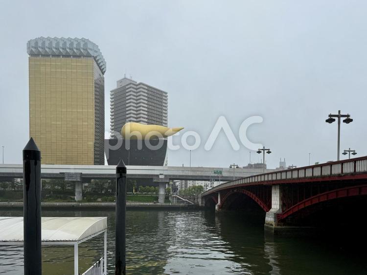 雨の日の墨田区のビル 雨,かすむ,五月雨の写真素材