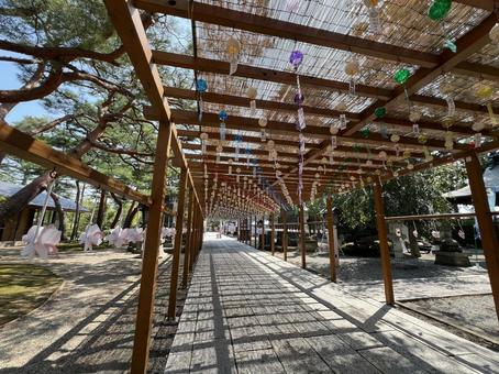 夏詣~風鈴~ 夏詣~風鈴~ 神社,稲荷神社,夏詣の写真素材