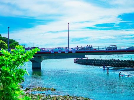 橋の下の風景 橋の下の風景 の写真