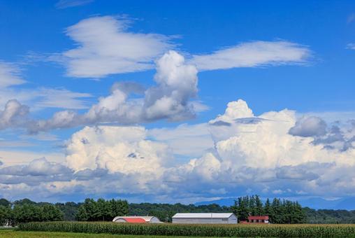 青空と雲 青空と雲 青空,雲,白い雲の写真素材