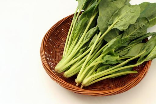 かごの中のほうれん草 かごの中のほうれん草 ほうれん草,かご,野菜の写真素材