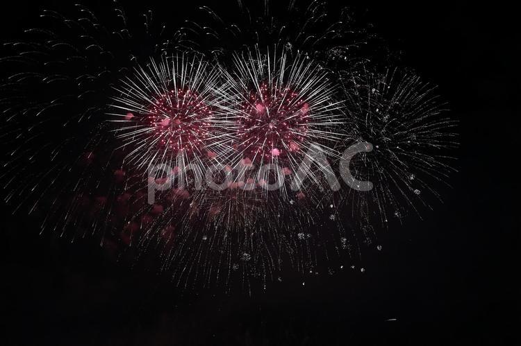 ハートがいっぱい？？ 夜空,きれい,花火の写真素材
